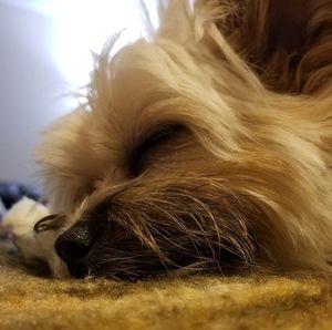 Meet your Posher, Stormy